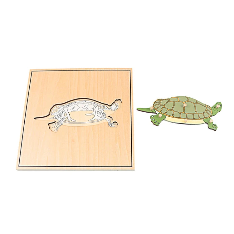 Puzzle éducatif en bois Montessori – Animaux et squelettes