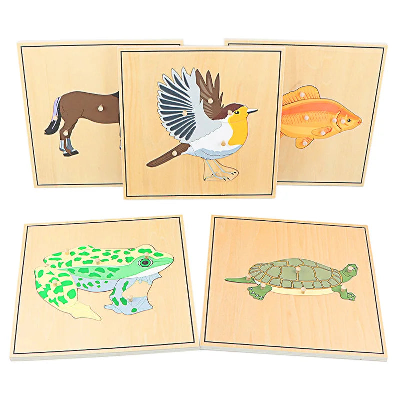 Puzzle éducatif en bois Montessori – Animaux et squelettes