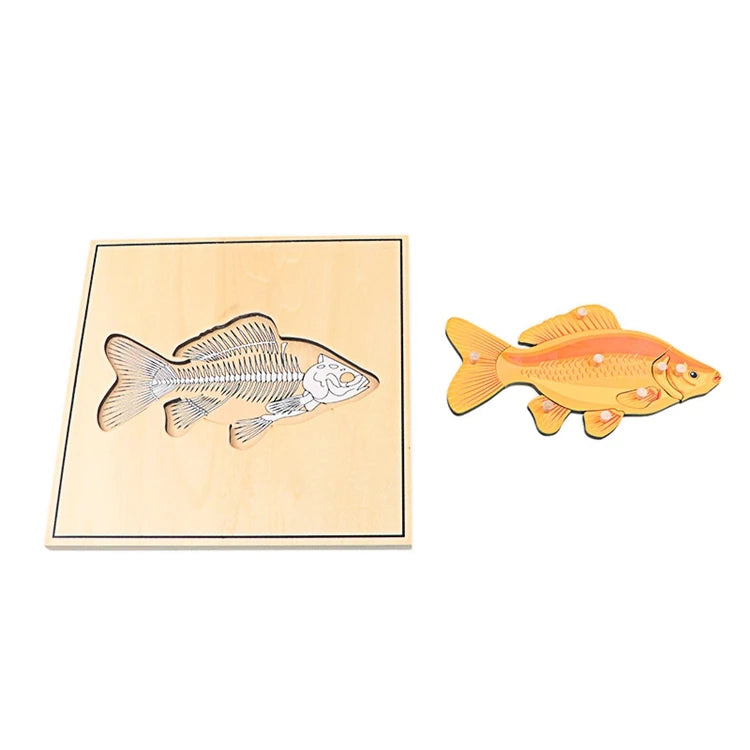 Puzzle éducatif en bois Montessori – Animaux et squelettes