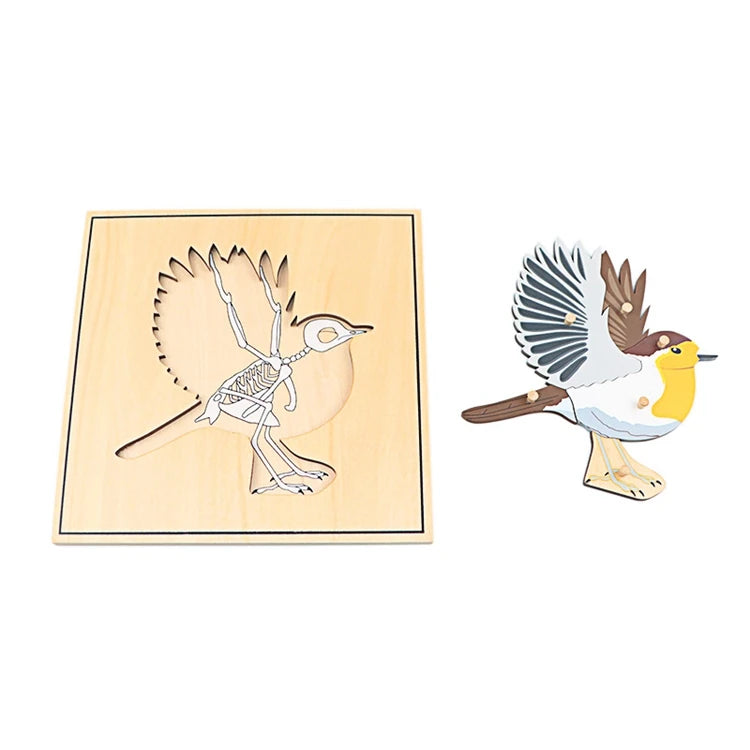 Puzzle éducatif en bois Montessori – Animaux et squelettes