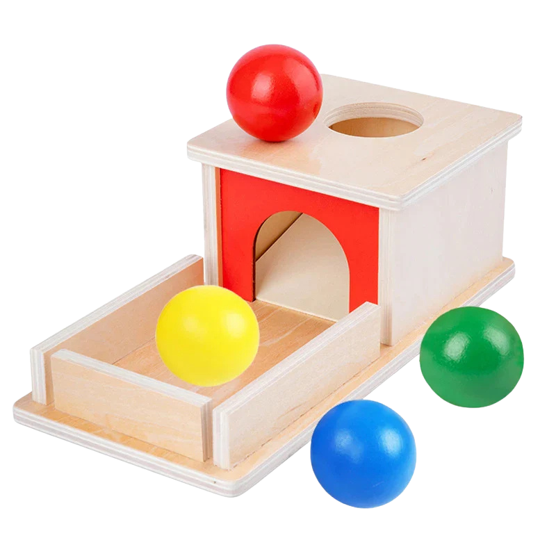 Boîte Montessori en Bois – Jeux d’Encastrement et Permanence de l’Objet