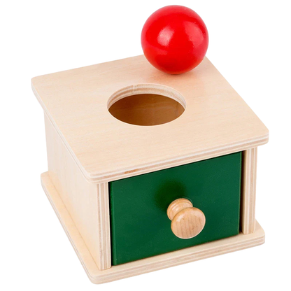 Boîte Montessori en Bois – Jeux d’Encastrement et Permanence de l’Objet