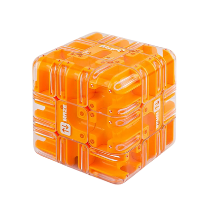 Cube Labyrinthe 3D Montessori – Jeu éducatif de logique et de concentration