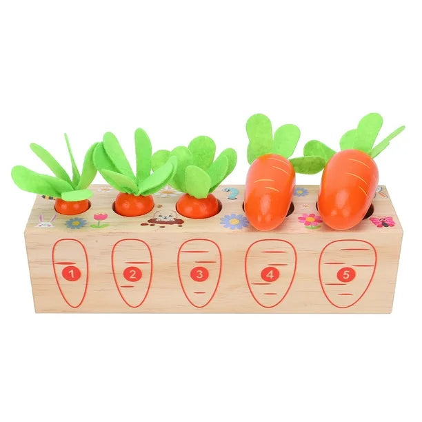 Jouet Montessori évolutif en bois – Jeu de tri des carottes éducatif