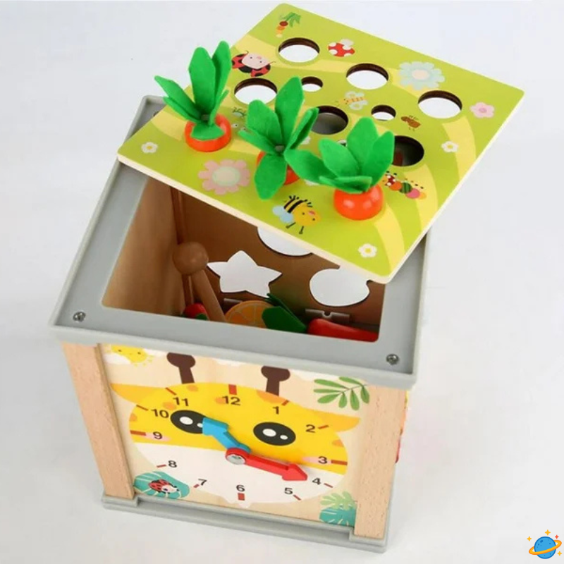 Jouet Montessori Évolutif en Bois – Boîte Sensorielle Bébé avec Formes et Objets