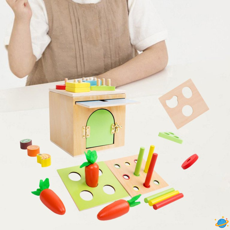 Jouet Montessori Évolutif en Bois – Boîte Sensorielle Bébé avec Formes et Objets