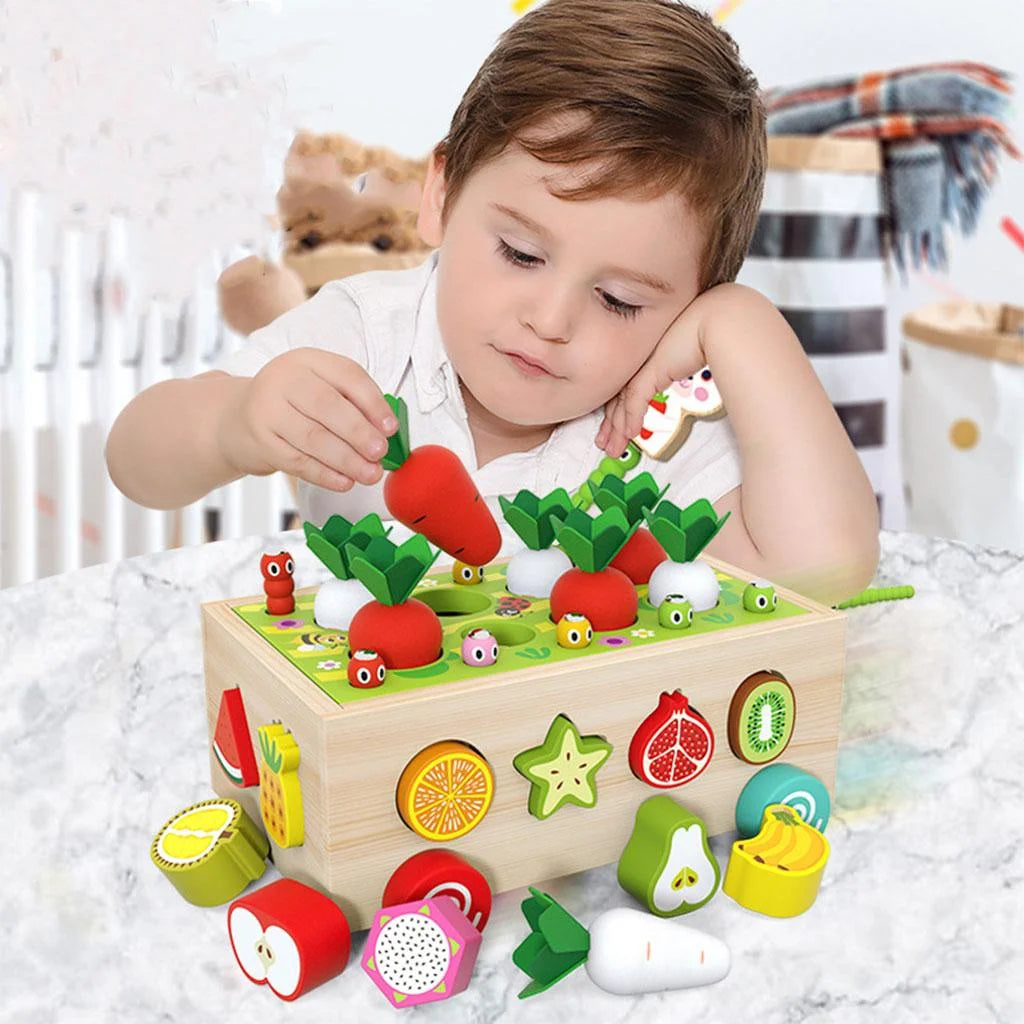 Jouet Montessori évolutif en bois – Jeu de tri, carottes et fruits éducatifs