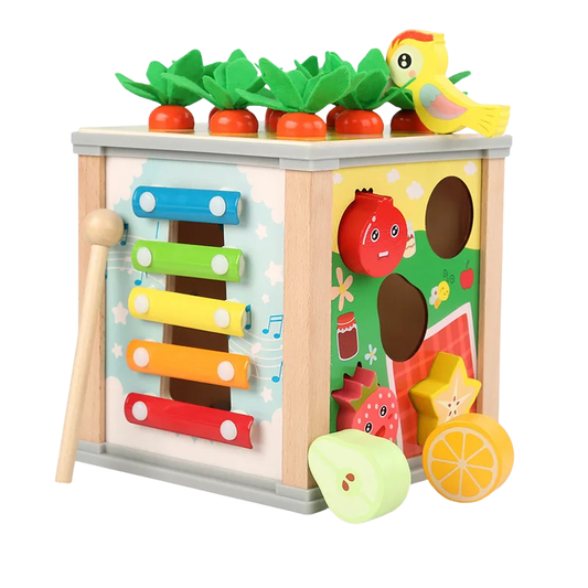 Jouet Montessori Évolutif en Bois – Boîte Sensorielle Bébé avec Formes et Objets