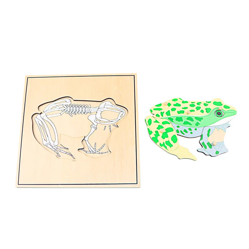 Puzzle éducatif en bois Montessori – Animaux et squelettes