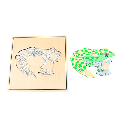 Puzzle éducatif en bois Montessori – Animaux et squelettes