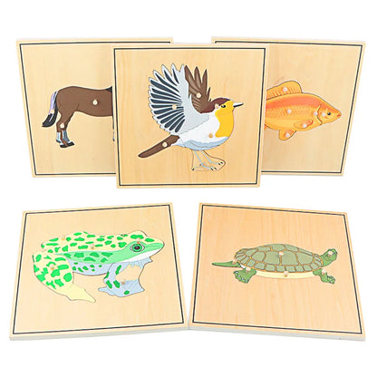 Puzzle éducatif en bois Montessori – Animaux et squelettes