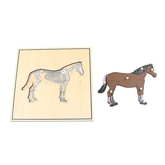 Puzzle éducatif en bois Montessori – Animaux et squelettes