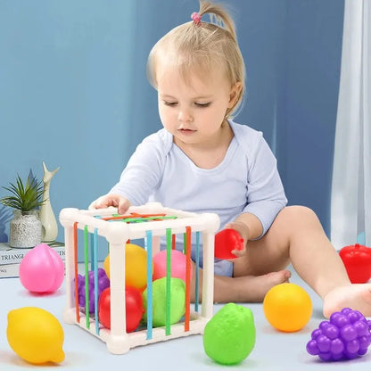 Jouet Montessori évolutif – Cube éducatif de fruits colorés pour éveil et motricité