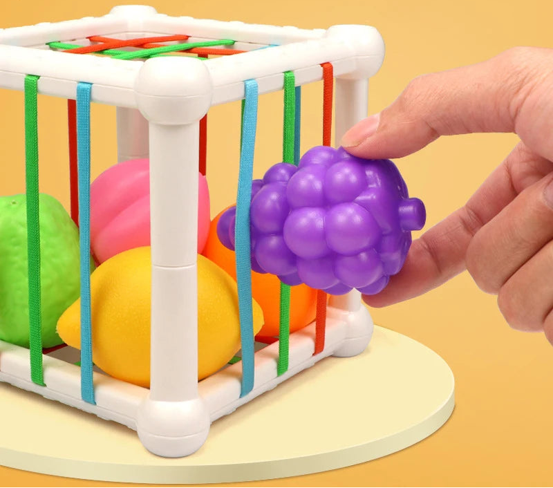 Jouet Montessori évolutif – Cube éducatif de fruits colorés pour éveil et motricité