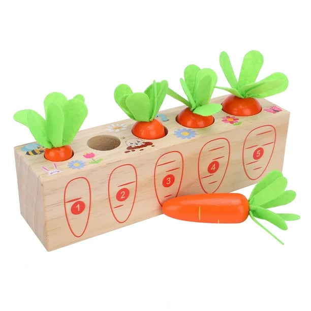 Jouet Montessori évolutif en bois – Jeu de tri des carottes éducatif